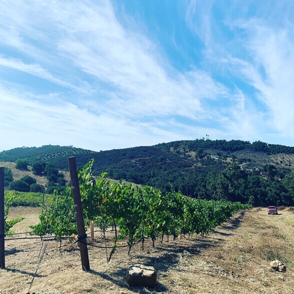 More Photos Of 12028 Keys Creek Rd, Valley Center Land For Sale