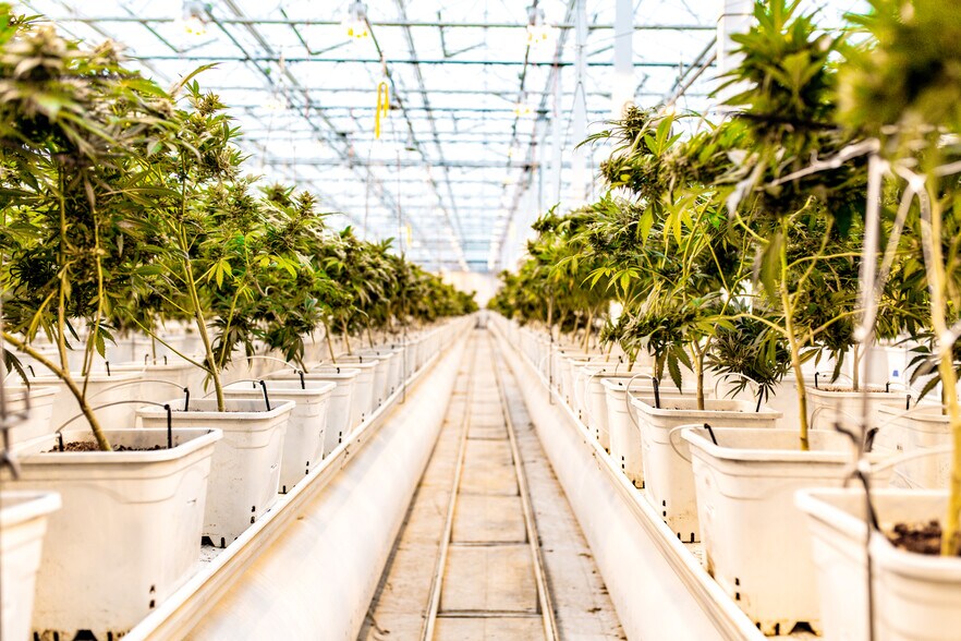 More Photos Of 5018 W Graneros Rd, Colorado City Industrial For Lease