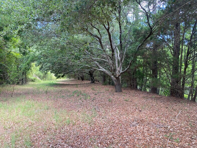 More Photos Of 4390 Fraser st, Georgetown Land For Sale