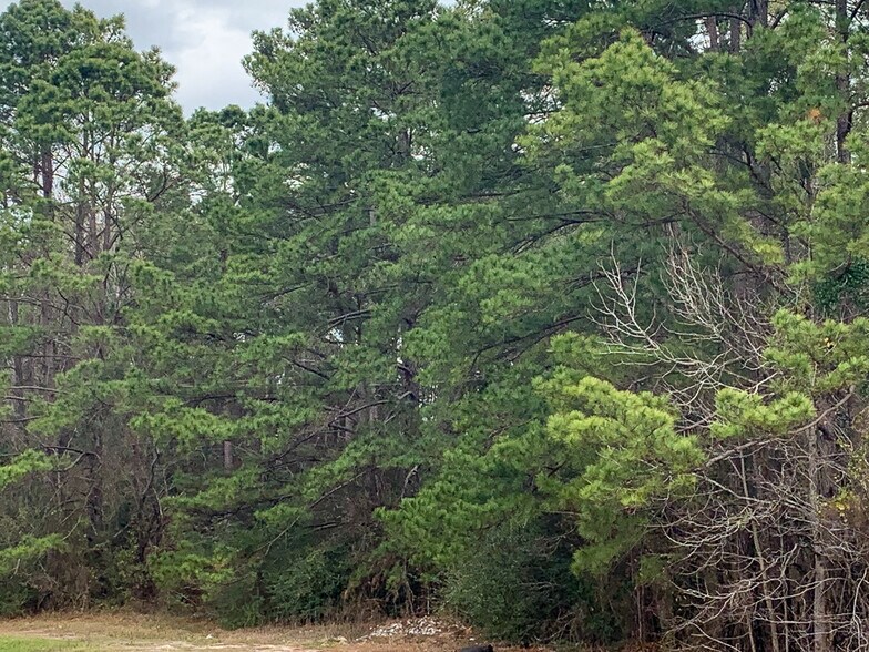 More Photos Of Highway 190, Huntsville Land For Sale