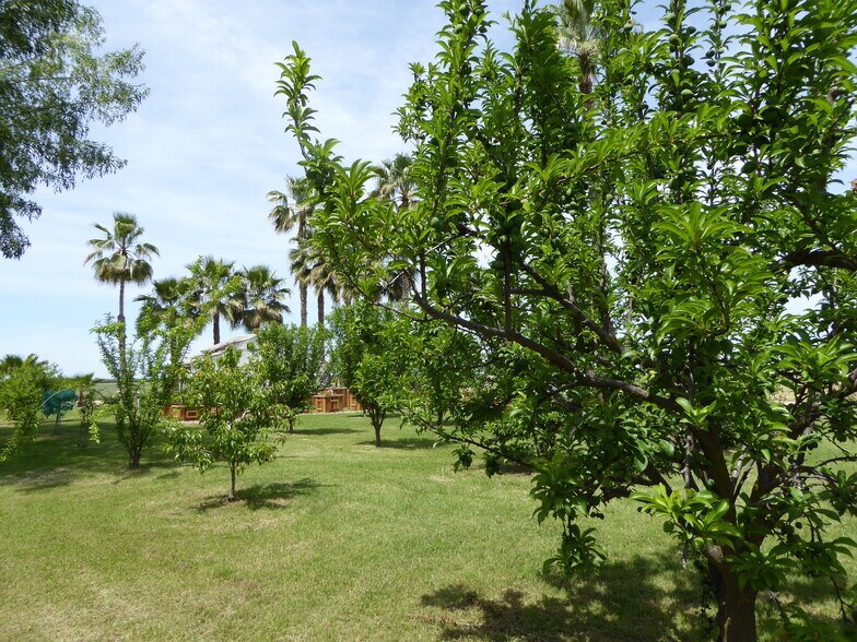 More Photos Of 8241 Koch Rd, Bakersfield Land For Sale