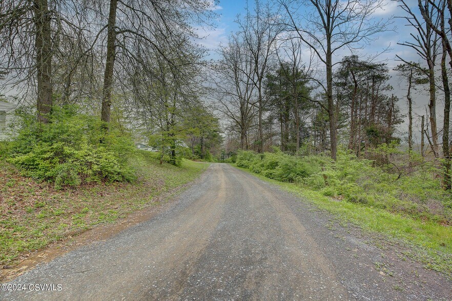 More Photos Of 242 Snyder Ln, Millmont Land For Sale
