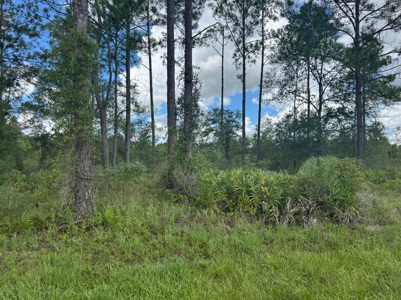 More Photos Of Noah Raulerson Road, Sanderson Land For Sale