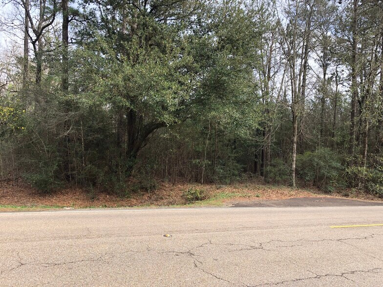 Primary Photo Of Hwy 190 and Hwy 22, Mandeville Land For Lease