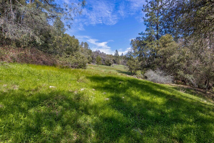 More Photos Of 18800 Charleston Rd, Volcano Land For Sale