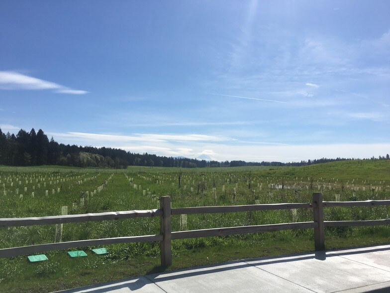 More Photos Of 104 NE 252nd Ave, Camas Land For Sale