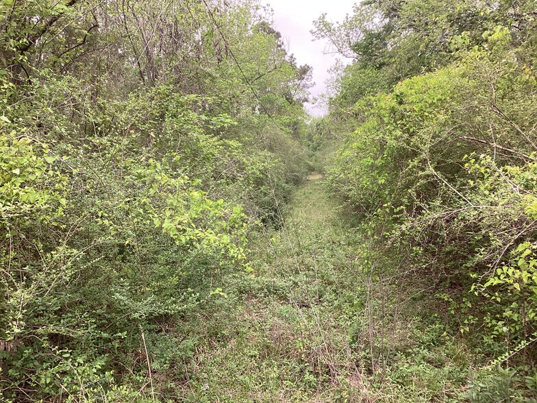 More Photos Of 0 County Road 4876, Dayton Land For Sale