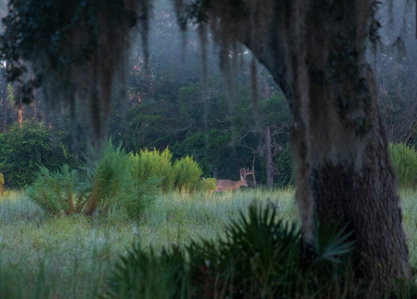 More Photos Of 134 Shoreside Trail, Crescent City Land For Sale