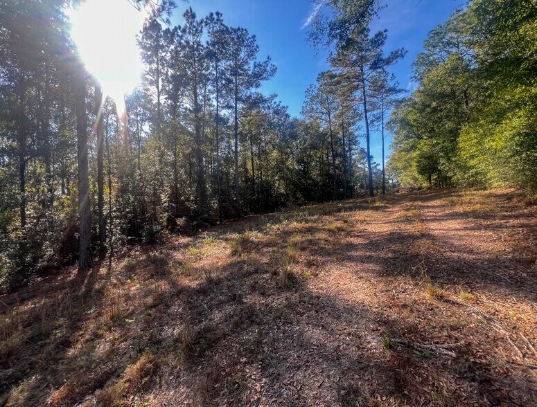 More Photos Of 0 Highway 198, Lucedale Land For Sale
