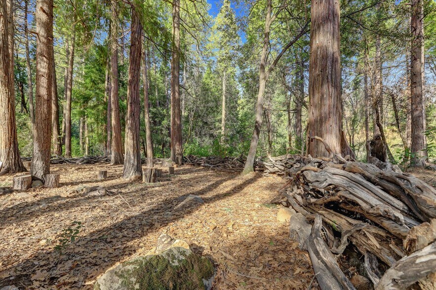 More Photos Of 14724 N Bloomfield Rd, Nevada City Flex For Sale