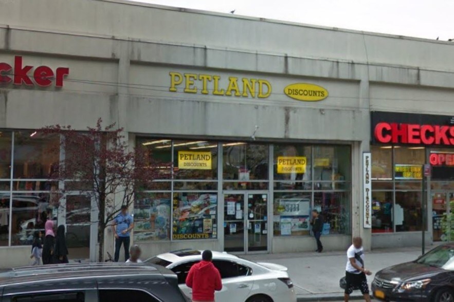More Photos Of 3965 White Plains Rd, Bronx Freestanding For Lease