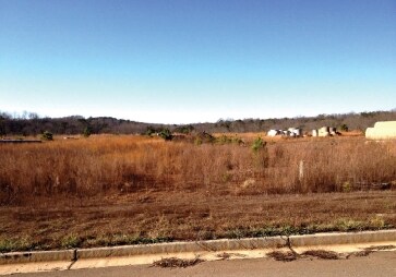 More Photos Of 435 Upper Salem Rd, Jasper Land For Sale