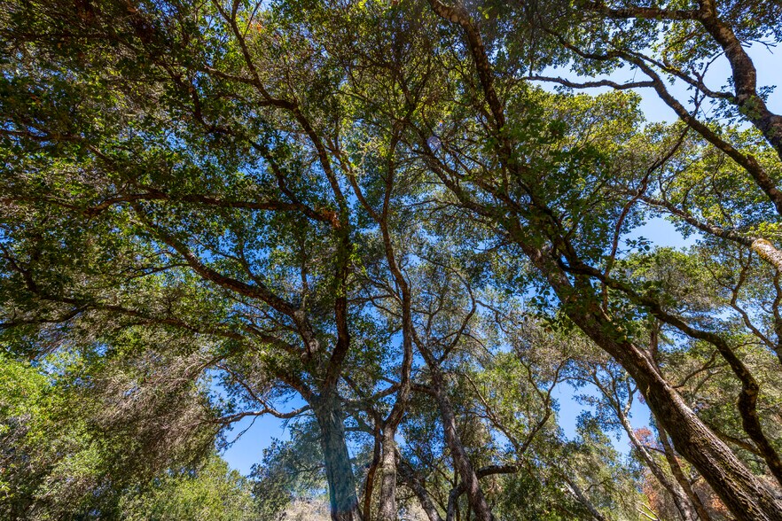 More Photos Of 2372 McKenzie Creek rd, Scotts Valley Land For Sale