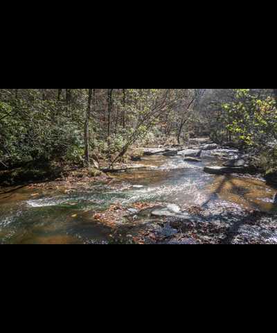 More Photos Of 1068 Sam Paul Rd, Elberton Land For Sale