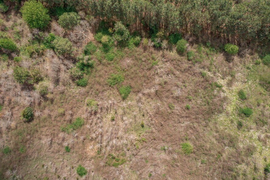 More Photos Of TBD, Disputanta Land For Sale