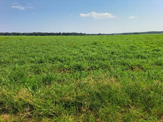 More Photos Of 0 Jesse Allen, Milton Land For Sale