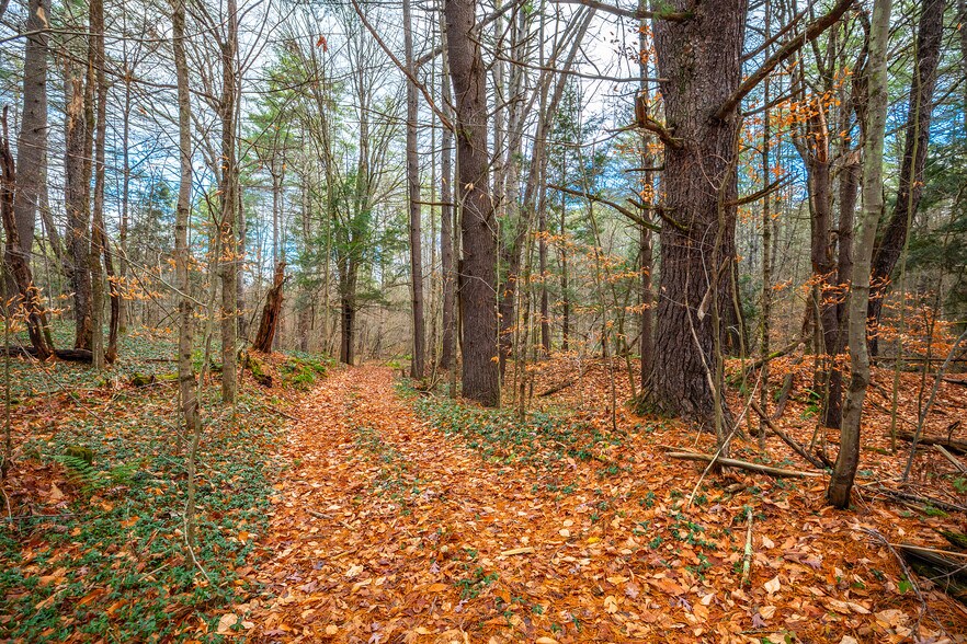 More Photos Of 40 E Putney Brook Rd, Putney Land For Sale