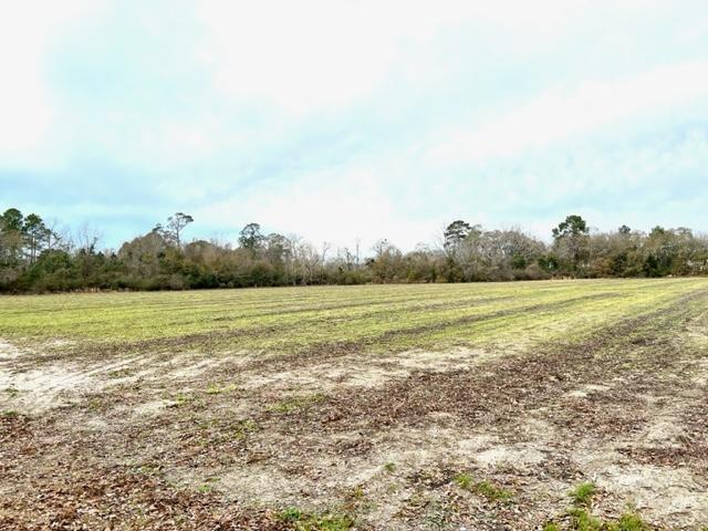 More Photos Of 8291 GA Highway 67, Brooklet Land For Sale