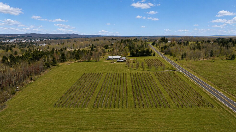 More Photos Of 8370 Lakeview Rd, Alanson Winery Vineyard For Sale