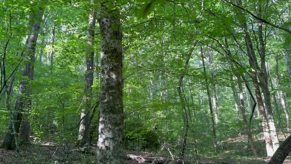 More Photos Of 400 Eden Church rd, Madison Land For Sale