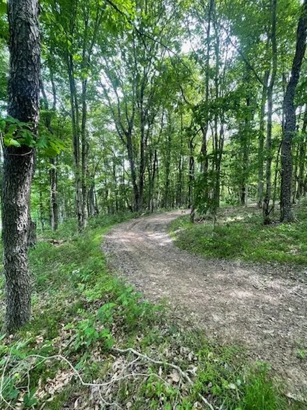 Primary Photo Of 0 Spruce Ln, Burgettstown Land For Sale