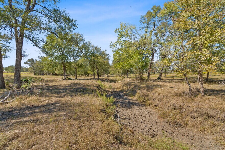 More Photos Of 5501 Old Colony Line Rd, Lockhart Land For Sale