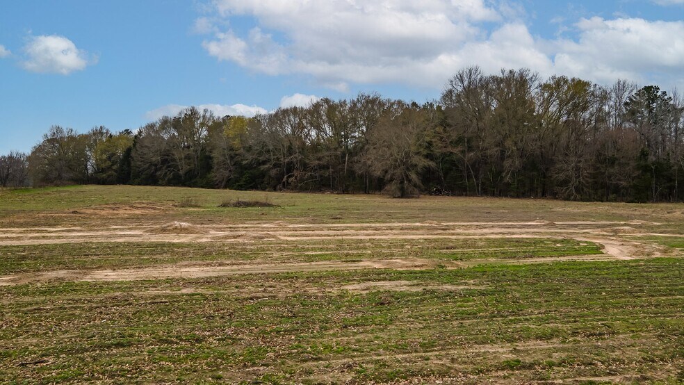 More Photos Of 16558 State Highway 155, Tyler Land For Sale