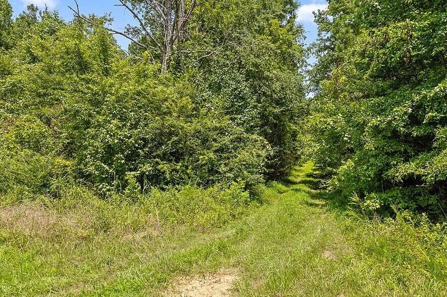 More Photos Of 0 Tom Terry Rd, Chatsworth Land For Sale