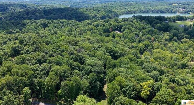 More Photos Of 0 Wilderness Road, Mammoth Cave Land For Sale