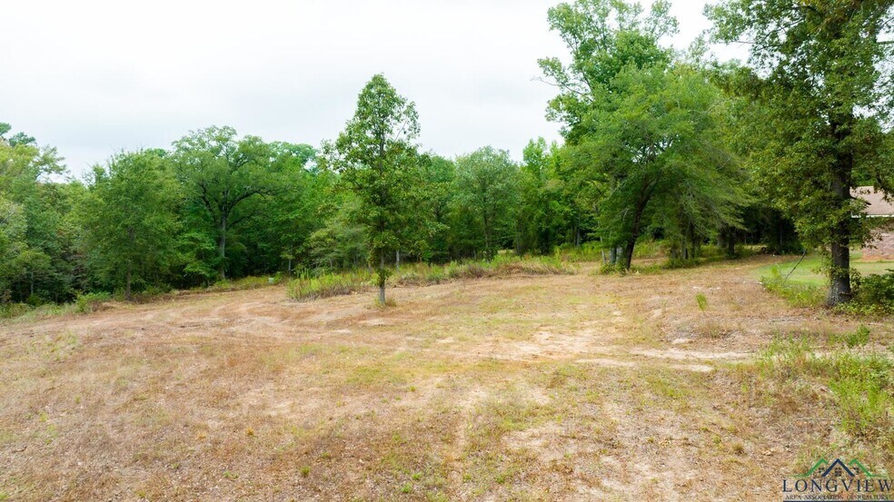 More Photos Of TBD US 259, Longview Land For Sale