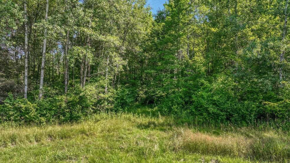 More Photos Of W3828 Walrath Rd, Glen Flora Land For Sale