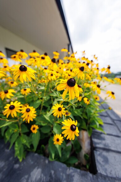 More Photos Of 2199 Roosterville Rd, Roopville Horse Stables For Sale