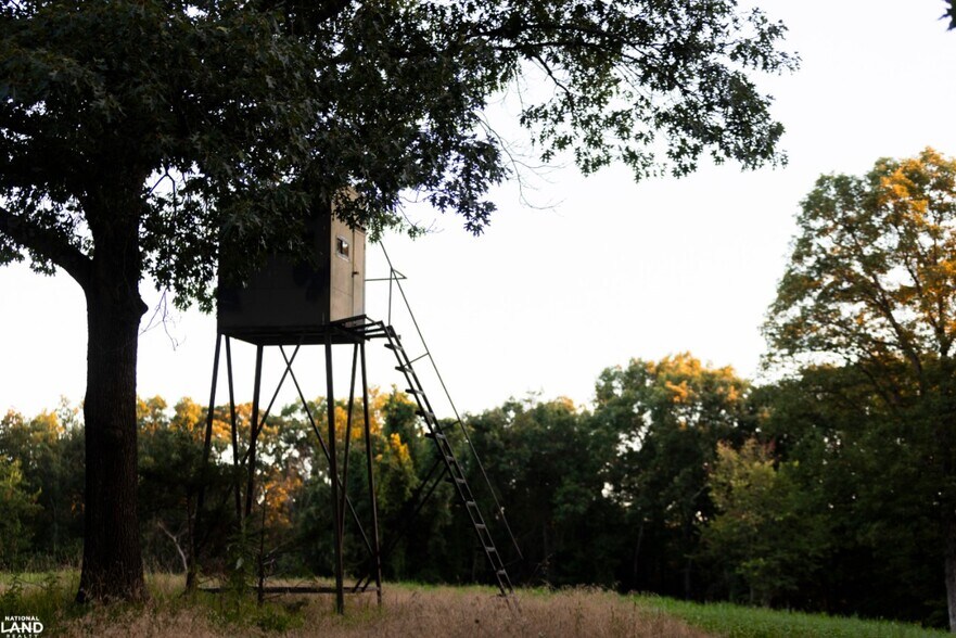 More Photos Of 178 Oak Creek Ln, Bland Land For Sale