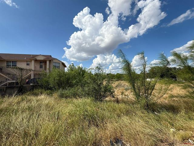 More Photos Of Canada & O'Kane, Laredo Land For Sale