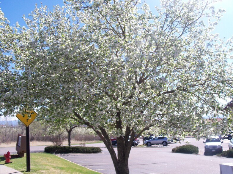 More Photos Of 8671 Wolff Ct, Westminster Office For Lease