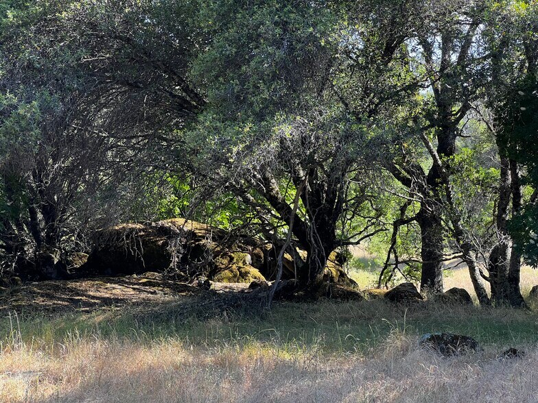 More Photos Of 7060 La Mesa Ln, Somerset Land For Sale