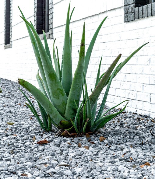 More Photos Of 1012 Airport Rd, Destin Office Residential For Sale