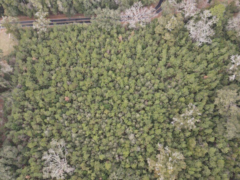 More Photos Of 0 Baldwin St, Satsuma Land For Sale