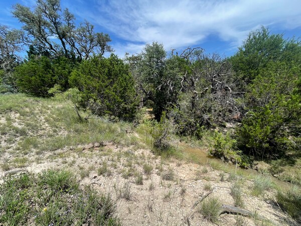 More Photos Of 221 W Rolling Oaks Dr, Goldthwaite Land For Sale