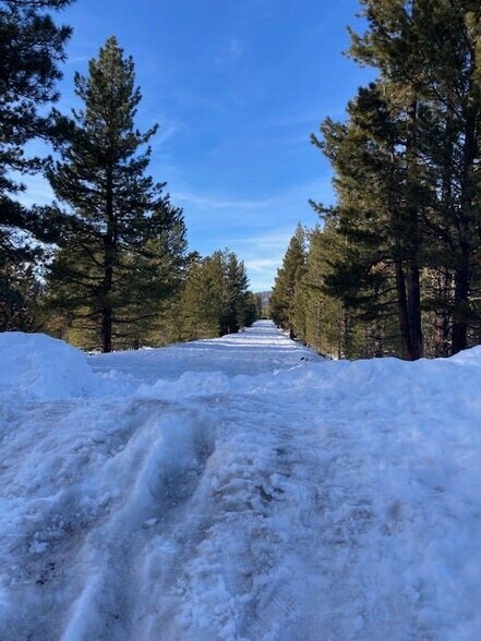 More Photos Of 7582 Buck Brush, Portola Hotel For Sale