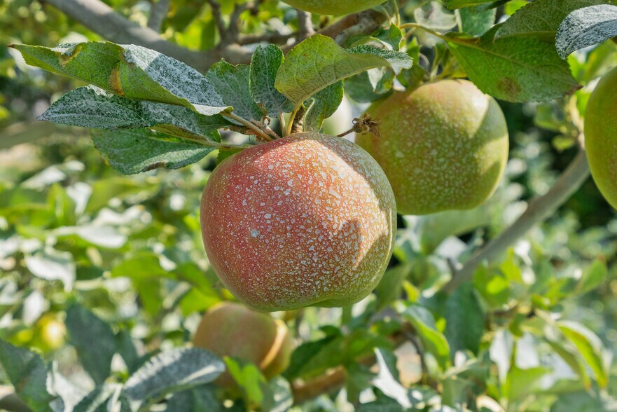 More Photos Of NKA Desmarais rd, Moxee Land For Sale