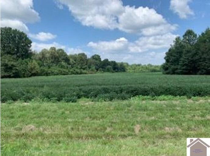 More Photos Of 8445 Old Highway 60 West, West Paducah Land For Sale