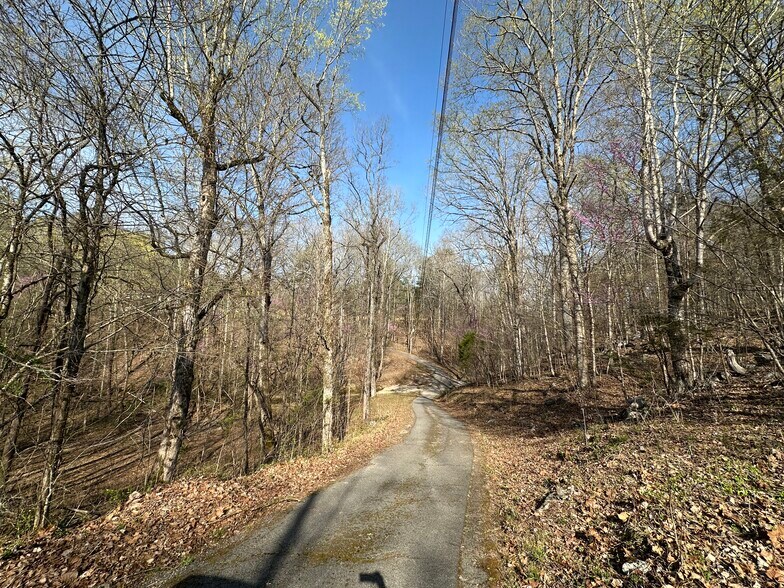 More Photos Of 7312 Highway 60, Georgetown Land For Sale