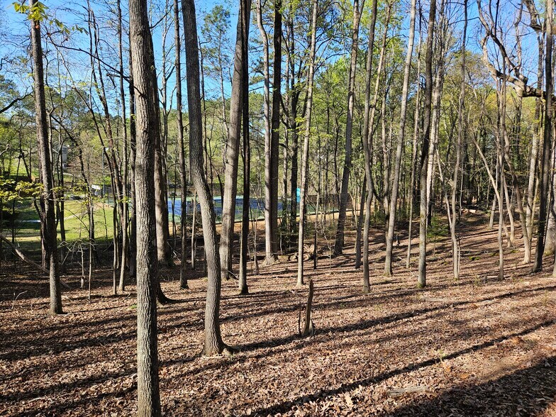 More Photos Of 3769 Rogers Bridge Rd, Duluth Land For Sale