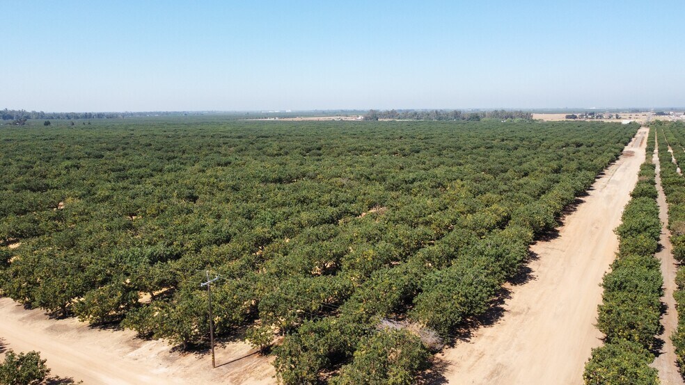 More Photos Of 79 ac Ave 20 and Ave 20 1/2, Madera Land For Sale