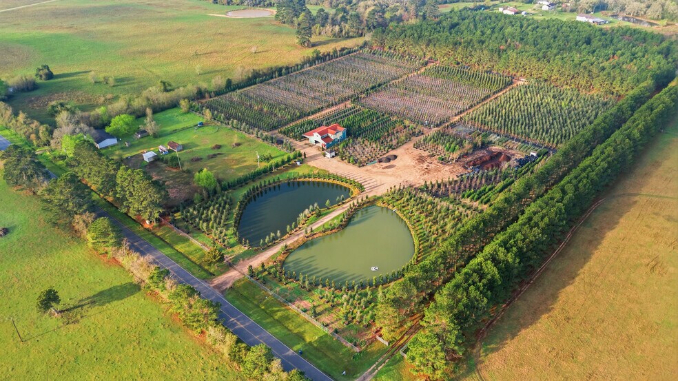 Primary Photo Of 28287 Hegar Rd, Hockley Land For Sale