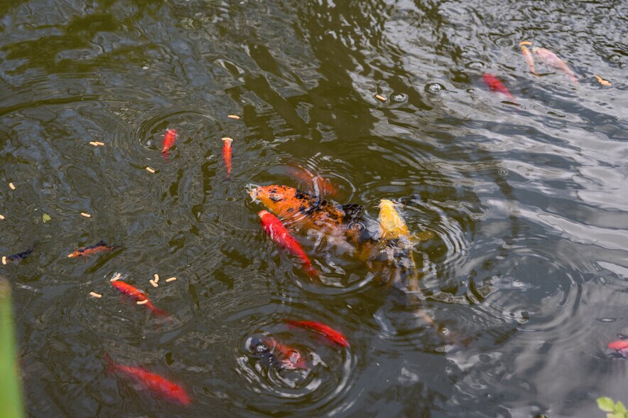 More Photos Of 509 8th St, Kemah Hospitality For Sale