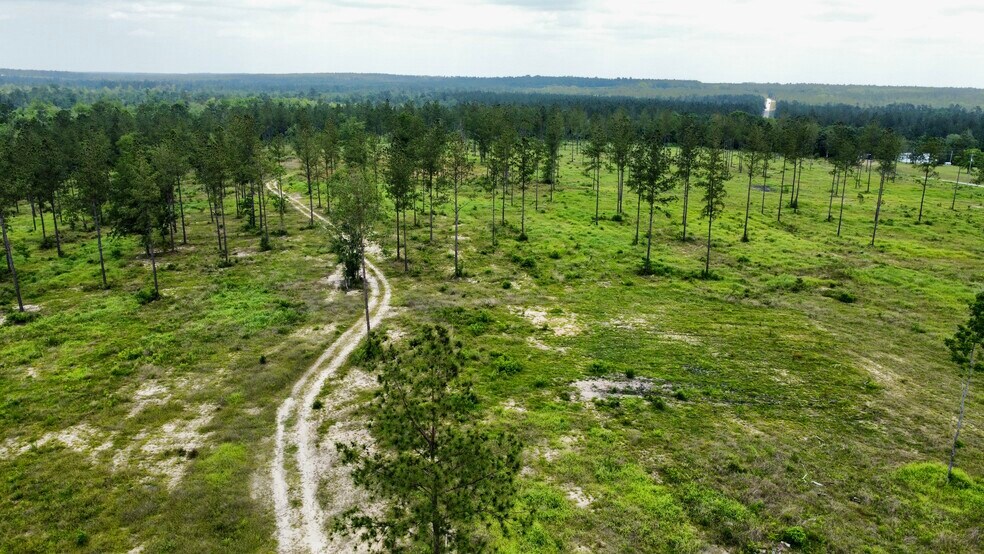 More Photos Of County Road 64, Robertsdale Land For Sale