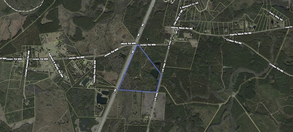 Primary Photo Of 156 AC US 17 Hwy, Townsend Land For Sale