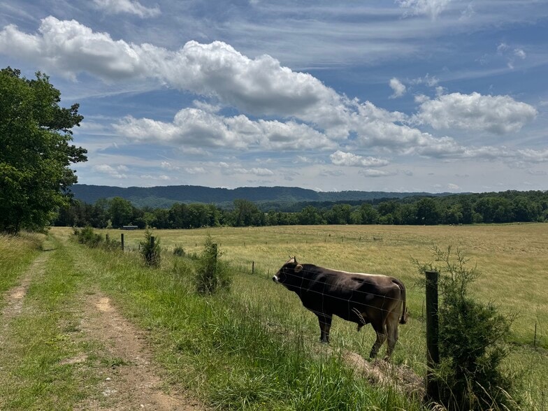 More Photos Of 210 Ridge Haven Dr, Surgoinsville Land For Sale